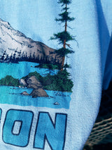 Women's or men's vintage 1986's Lexington label short sleeve baby blue graphic t-shirt with Oregon mountain graphic on the front.