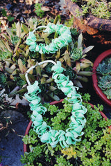 Vintage green seashell necklace and bracelet set