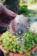 Vintage shell brooch